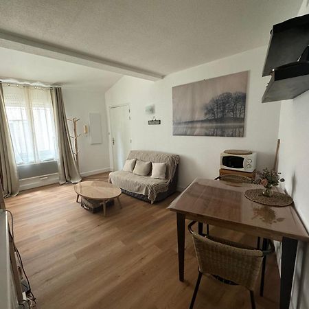 Apartamento T2 *Hypercentre* Bord De Garonne Toulouse Exterior foto